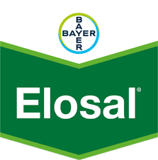 Elosal®