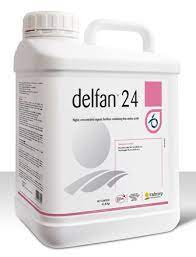 delfan 24