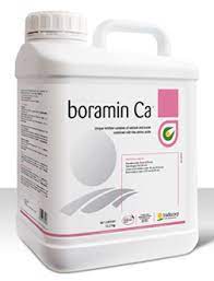 boramin Ca