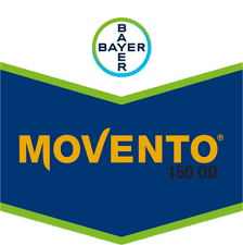 MOVENTO®