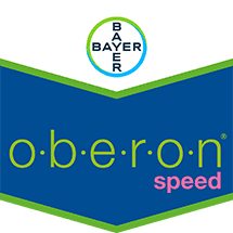 oberon speed®
