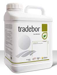 tradebor
