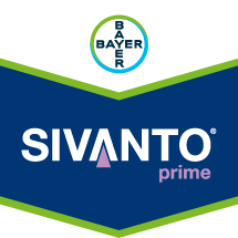 SIVANTO prime®