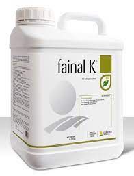 fainal K