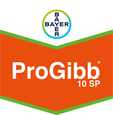 ProGibb® 10 SP