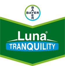 Luna® TRANQUILITY
