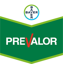 PREVALOR