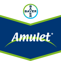 Amulet®