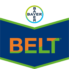 BELT®