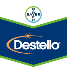 Destello®