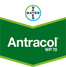 Antracol®