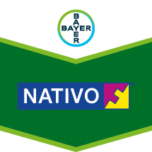 NATIVO