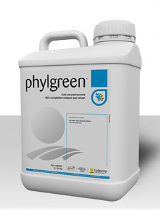 phylgreen
