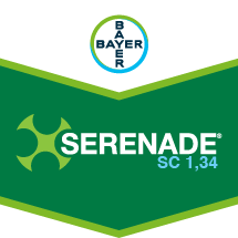 SERENADE SC1,34®